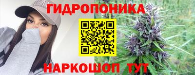 тгк Кинель