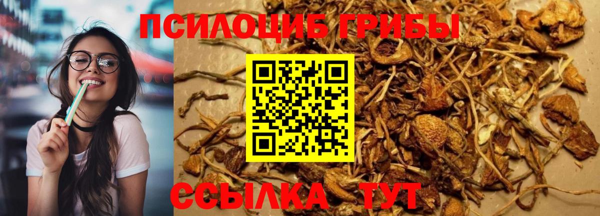 Псилоцибиновые грибы Cubensis  Вход с VPN  Галлюциногенные грибы Psilocybine cubensis  Озёрск 